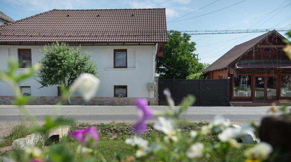 Valery House Apartman Kiscsűr Kültér fotó